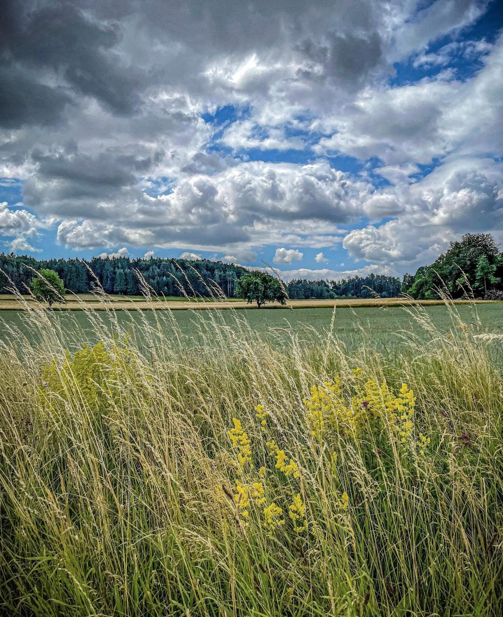 Hotel Heumanns Blockhaeuser Am Wald Pottenstein Exteriér fotografie