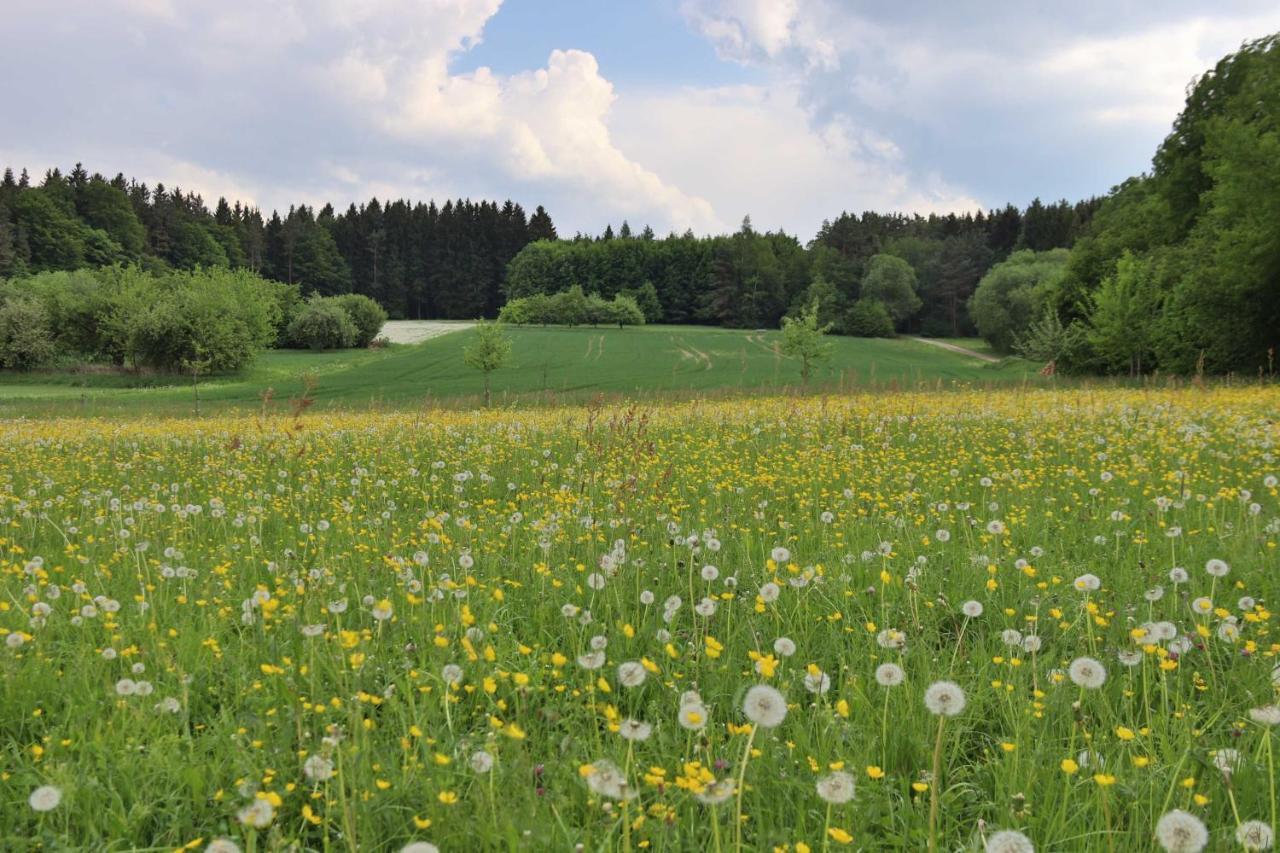 Hotel Heumanns Blockhaeuser Am Wald Pottenstein Exteriér fotografie